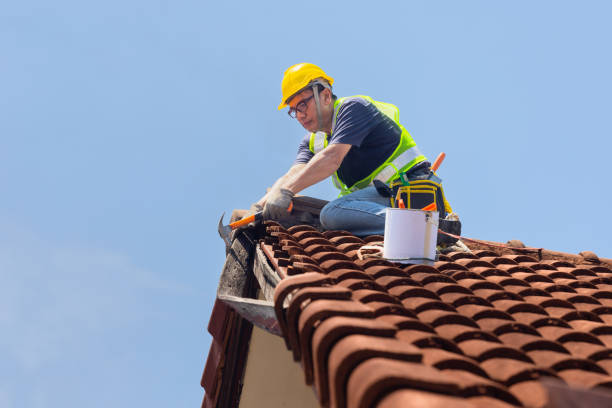 Best Roof Ventilation Installation  in Neenah, WI